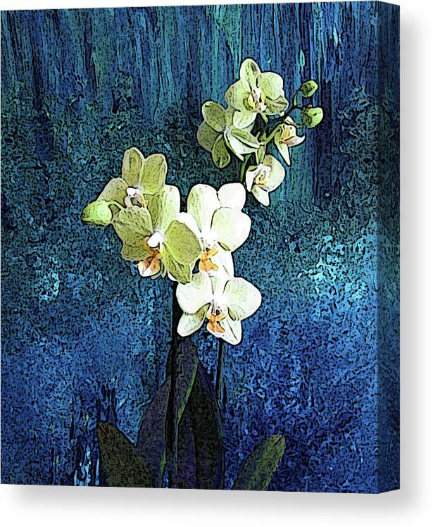 Orchid Canvas Print featuring the photograph Yellow Orchids on Blue by Corinne Carroll