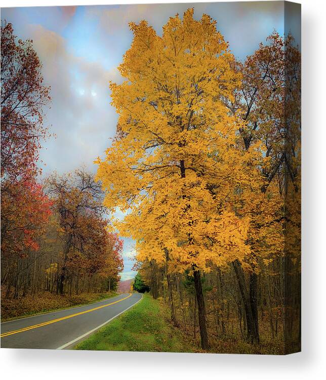 Fall Canvas Print featuring the photograph Yellow Tree, Rural Road by Lora J Wilson