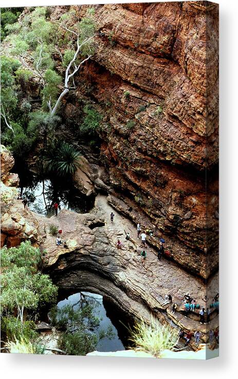 Australia Canvas Print featuring the photograph Australia - King's Canyon Oasis by Jacqueline M Lewis