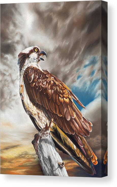 Bird Canvas Print featuring the pastel High and Mighty #1 by Peter Williams