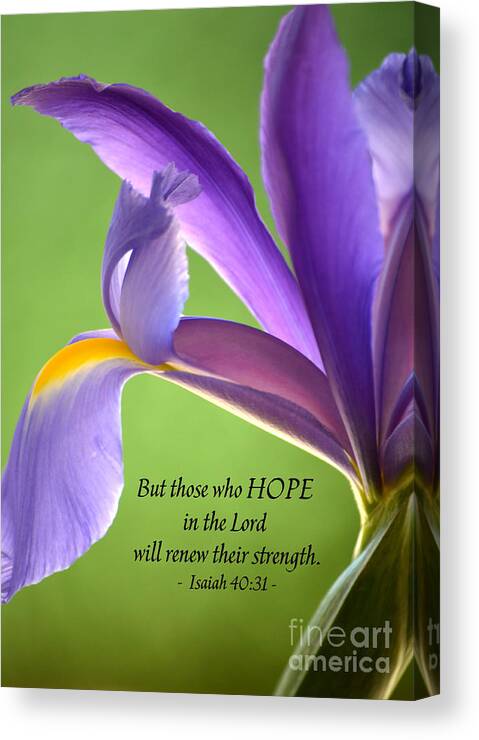 Iris Canvas Print featuring the photograph Hope by Deb Halloran