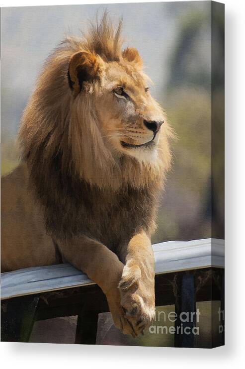 Animal Canvas Print featuring the digital art Majestic Lion #1 by Sharon Foster