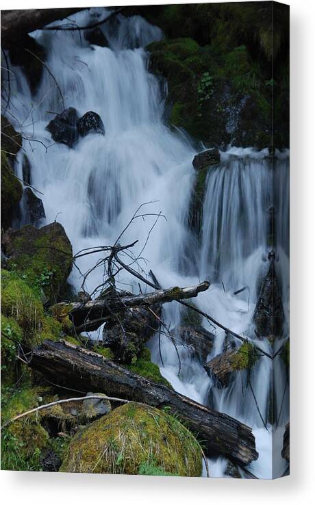 Waterfall Canvas Print featuring the photograph Mountain Waterfall by Michael Merry
