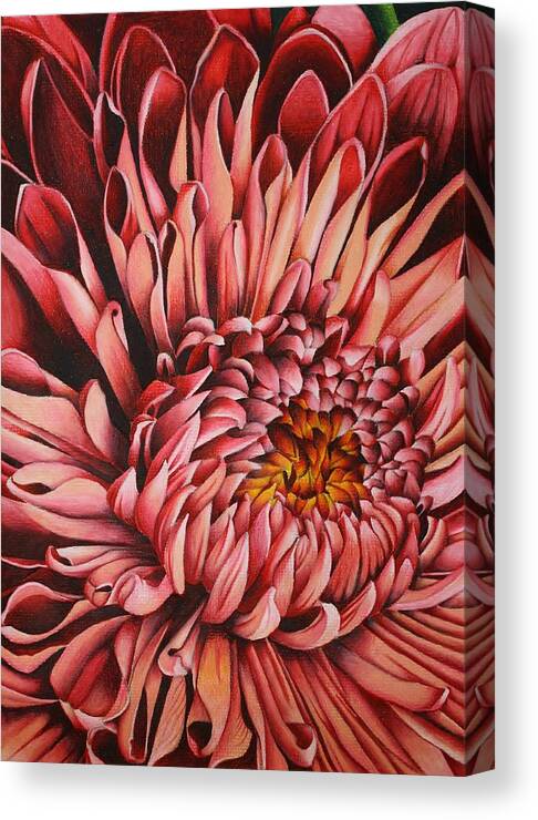 Flora Canvas Print featuring the drawing Pink Mum #2 by Bruce Bley