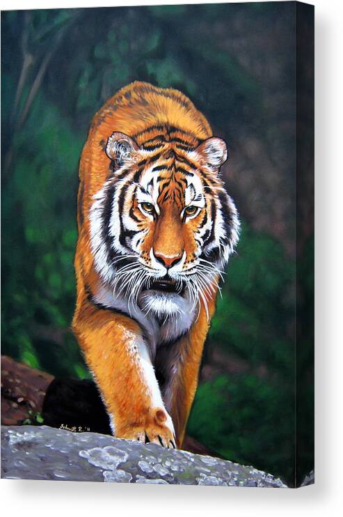 Animals Canvas Print featuring the painting Siberian Tiger #1 by Schmidt Roger