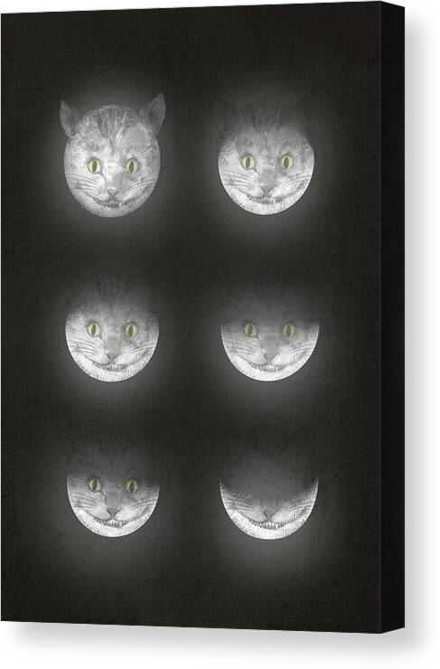 Cats Canvas Print featuring the drawing Waning Cheshire by Eric Fan