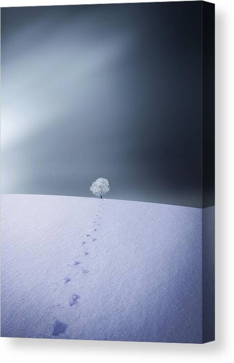 Landscape Canvas Print featuring the photograph Winter by Bess Hamiti