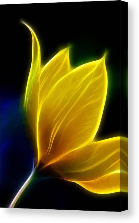 Fractal Canvas Print featuring the photograph Fractal Flower #2 by Prince Andre Faubert