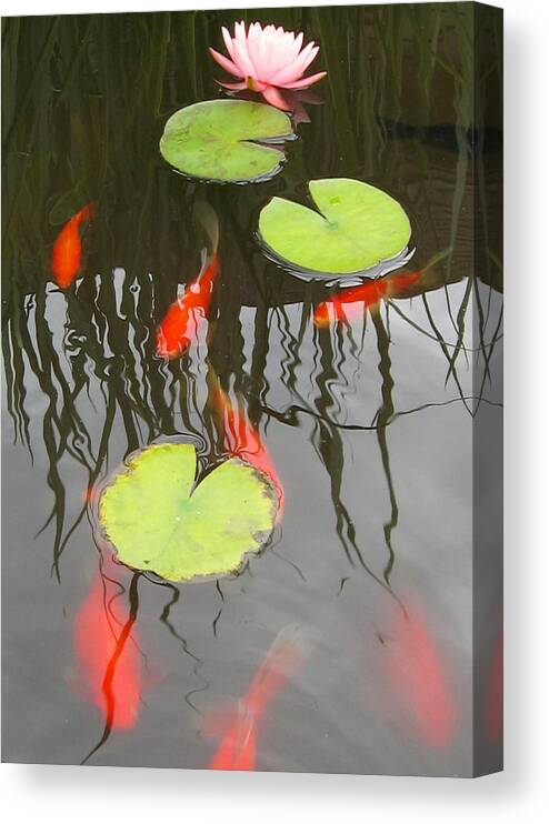 Koi Canvas Print featuring the photograph Rippled Reeds #2 by Tracy Male