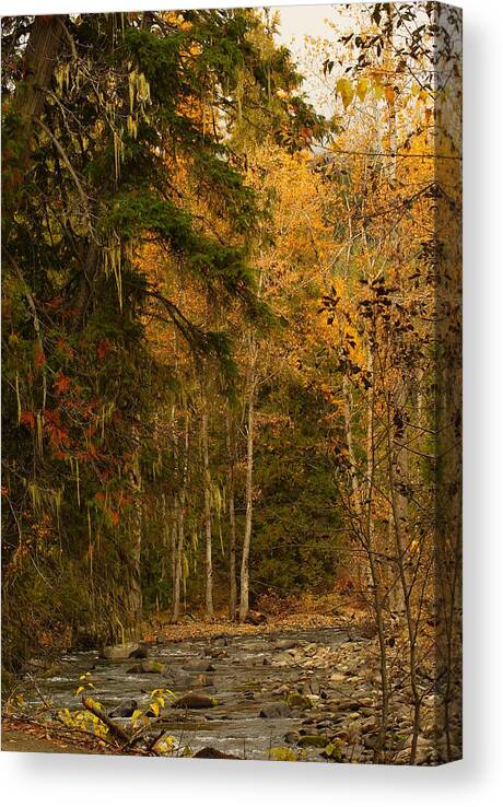 Northeastern Washington Canvas Print featuring the photograph Fall at Sheep Creek by Loni Collins