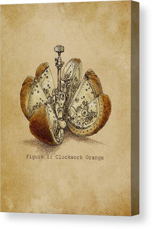 Orange Canvas Print featuring the drawing Steampunk Orange - Option by Eric Fan