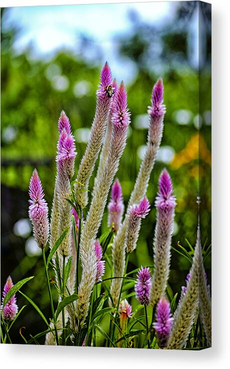 Bee Canvas Print featuring the photograph A Place of Delight by Christi Kraft