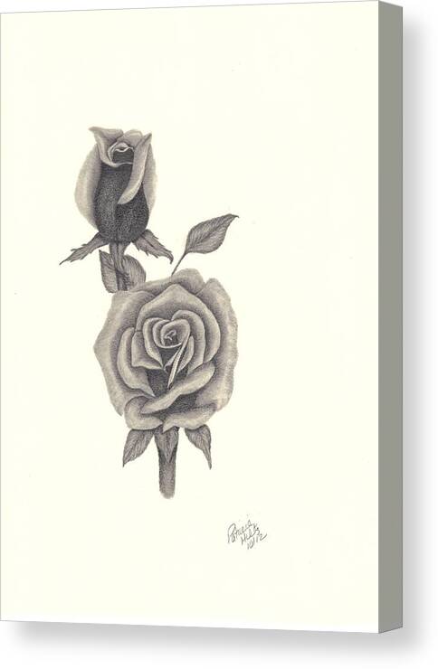 Rose Canvas Print featuring the drawing A Roses Beauty by Patricia Hiltz