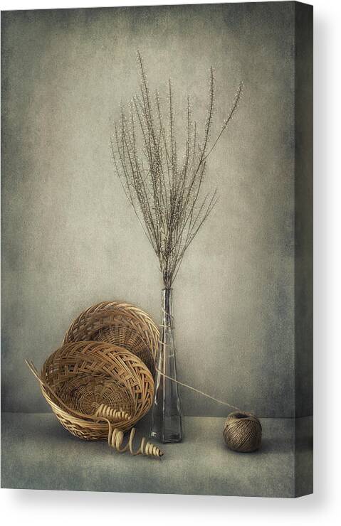 Still Life Canvas Print featuring the photograph Almost Autumn... by Dimitar Lazarov -