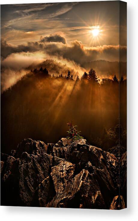 2011 Canvas Print featuring the photograph Appalachian Dawn by Robert Charity