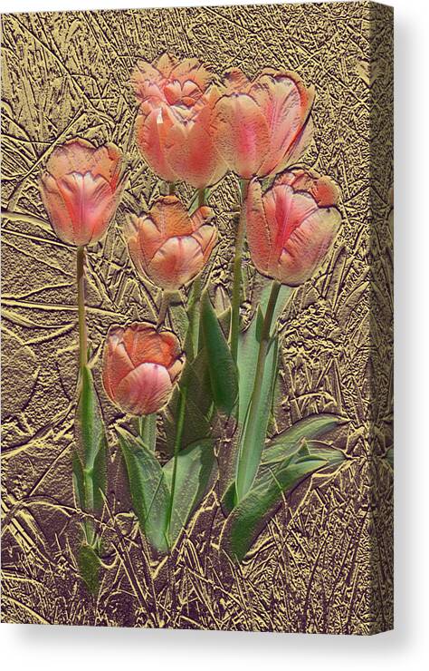  Canvas Print featuring the photograph Apricot Tulips by Steve Karol