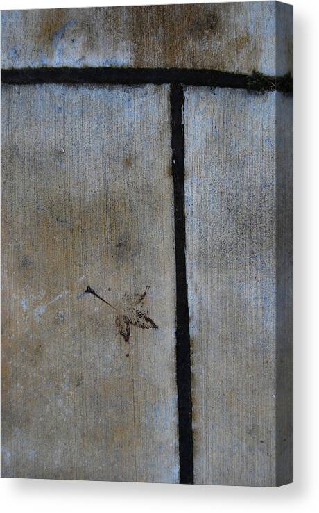 Raw Abstract Canvas Print featuring the photograph At An Impass by Jani Freimann