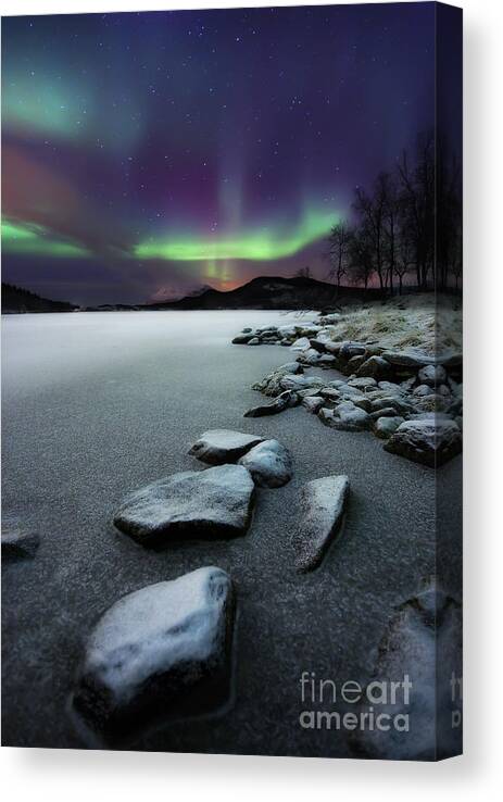 Aurora Borealis Canvas Print featuring the photograph Aurora Borealis Over Sandvannet Lake by Arild Heitmann