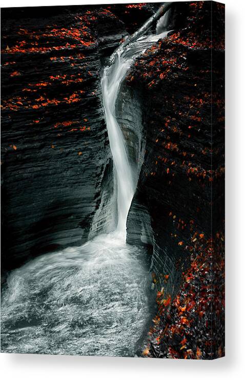 Autumn Canvas Print featuring the photograph Autume by Larry Deng