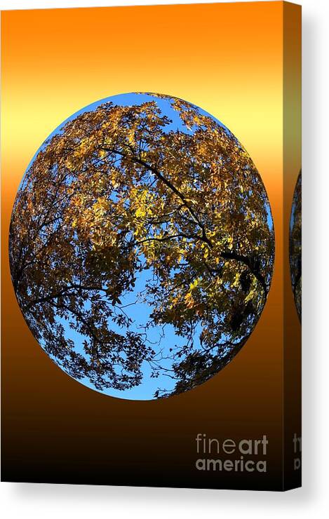 Autumn Canvas Print featuring the photograph Autumn Ecstacy by Rick Rauzi