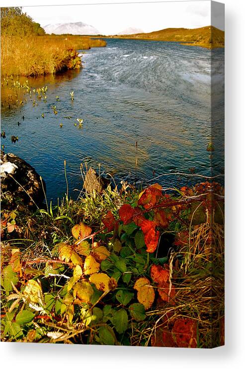 Autumn River Canvas Print featuring the photograph Autumn River by HweeYen Ong