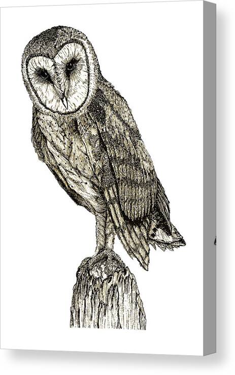 Barn Owl Canvas Print featuring the digital art Barn Owl by David Blank