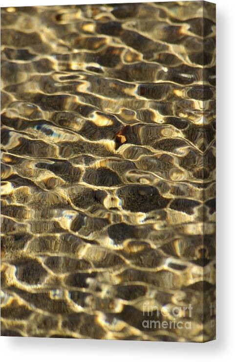 Beach Canvas Print featuring the photograph Beach Abstract 12 by Morgan Wright