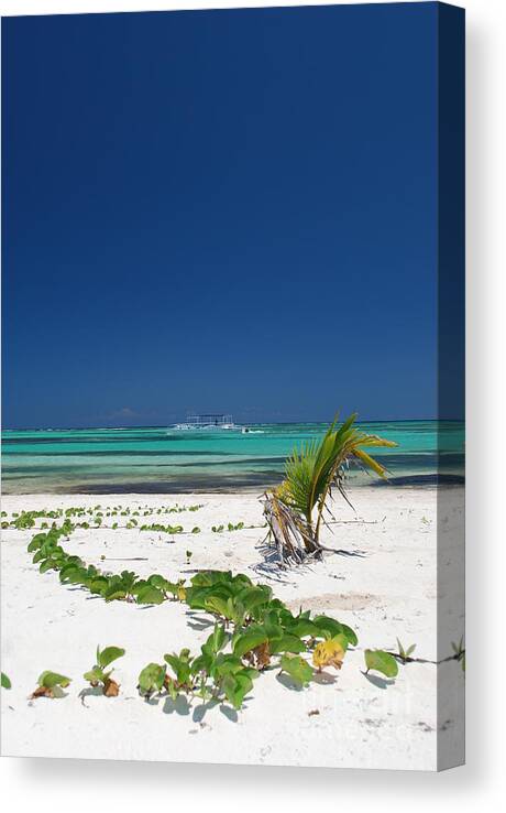 Beach Blue Caribbean Boat Green Plant Playa Blanca Punta Cana Dominican Republic Ocean Palm Republica Dominicana Resort Sand Sea Sky Sun Tree Turquoise Vine Vegetation Vertical Water White Water Wave Canvas Print featuring the photograph Beach and Vegetation Playa Blanca Punta Cana Resort by Heather Kirk