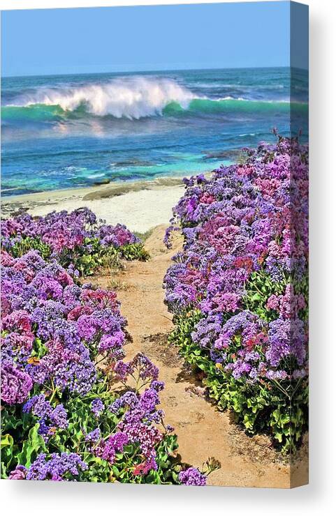 Beach Canvas Print featuring the photograph Beach Pathway by Jane Girardot