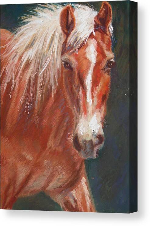 Horse Canvas Print featuring the painting Beauty by Vicki Ross