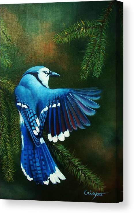 Bird Canvas Print featuring the painting Blue Jay by Jean Yves Crispo