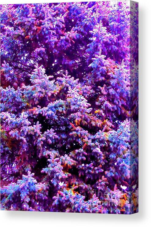 Blue Canvas Print featuring the photograph Blue Spruce in the Snow by Ann Johndro-Collins