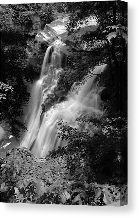 Brandywine Canvas Print featuring the photograph Brandywine Falls Black and White by Clint Buhler