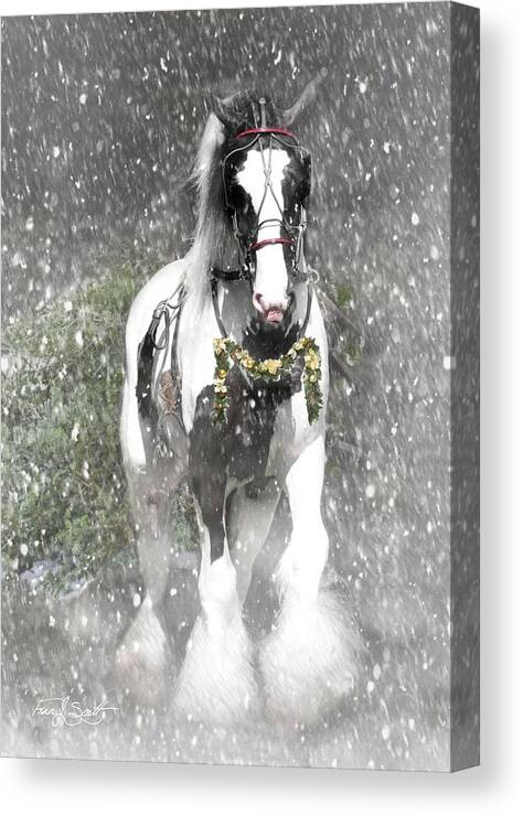 Christmas Canvas Print featuring the photograph Bringing home the Christmas Tree by Fran J Scott