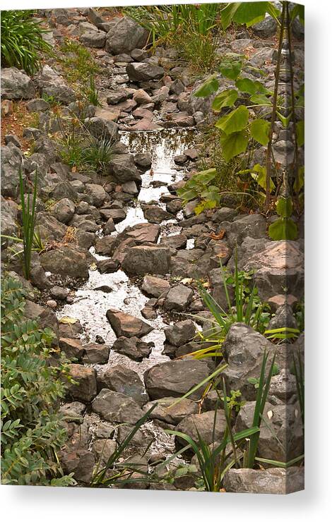 Brook Canvas Print featuring the photograph Brooklet by Michele Myers