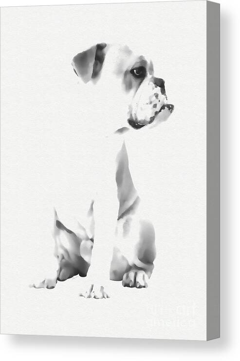 Bulldog Canvas Print featuring the mixed media Bulldog by Olga Hamilton