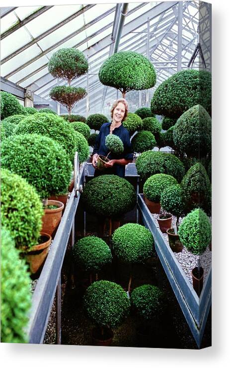 Garden Canvas Print featuring the photograph Bunny Mellon In Her Greenhouse by Horst P. Horst