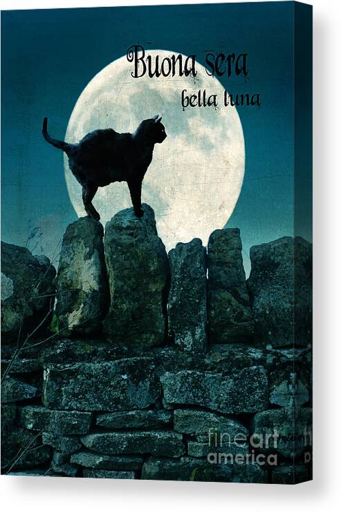 Buona Sera Bella Luna Canvas Print featuring the photograph Buona Sera Bella Luna by Jill Battaglia