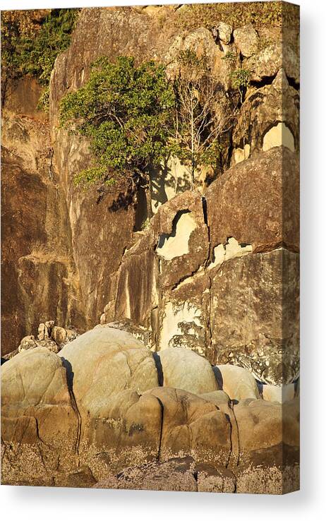 Rock Formations Canvas Print featuring the photograph Butterfly Bay by Debbie Cundy