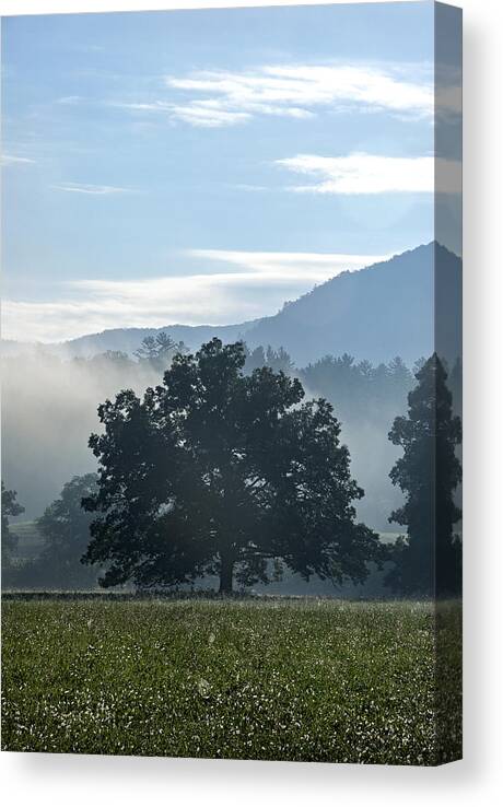 Tree Canvas Print featuring the photograph Cades Cove Tree by Carol Erikson