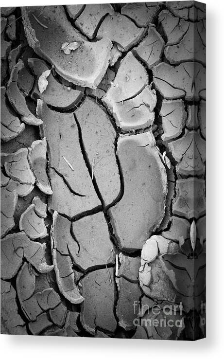 America Canvas Print featuring the photograph Caprock Cracked Mud by Inge Johnsson