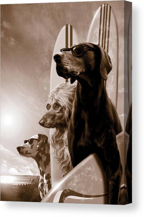 Animal Canvas Print featuring the photograph Changes by MGL Meiklejohn Graphics Licensing