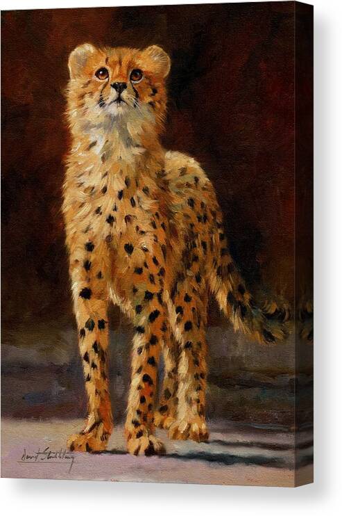 Cheetah Canvas Print featuring the painting Cheetah Cub by David Stribbling