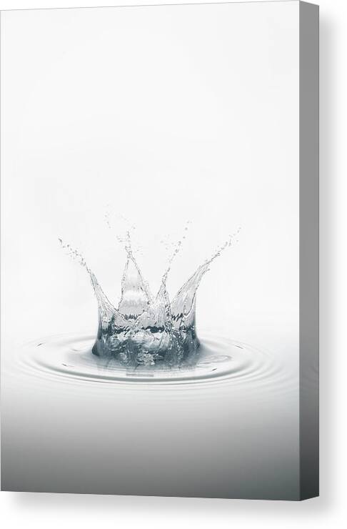 White Background Canvas Print featuring the photograph Clean Water Splash by Jose Luis Pelaez