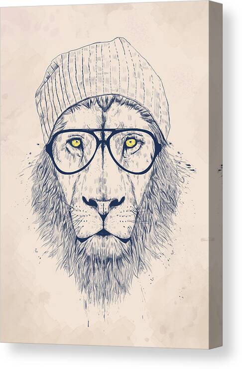 Lion Canvas Print featuring the drawing Cool lion by Balazs Solti