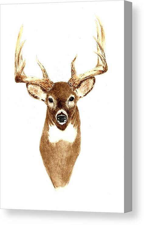 Deer Canvas Print featuring the painting Deer - Front View by Michael Vigliotti