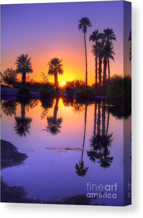 Desert Canvas Print featuring the photograph Desert Oasis by Eddie Yerkish
