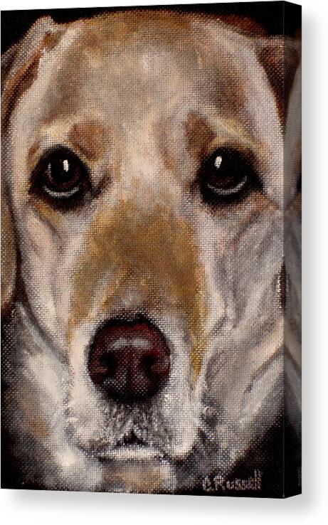 Yellow Labrador Close Up Canvas Print featuring the painting Dozer by Carol Russell