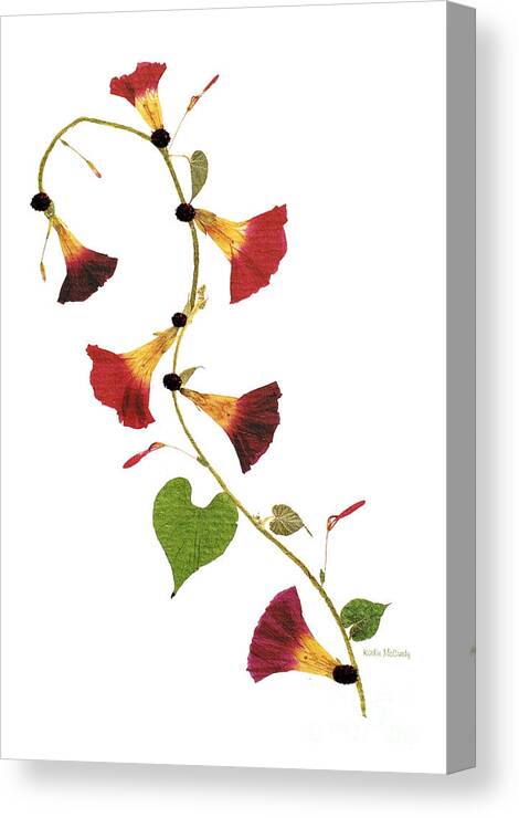 Morning Glories Canvas Print featuring the mixed media Enchanted Garden Morning Glories by Kathie McCurdy