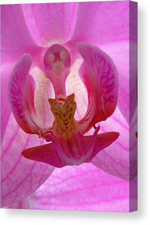 Orchid Canvas Print featuring the photograph Extremely Loud And Incredibly Close by Juergen Roth